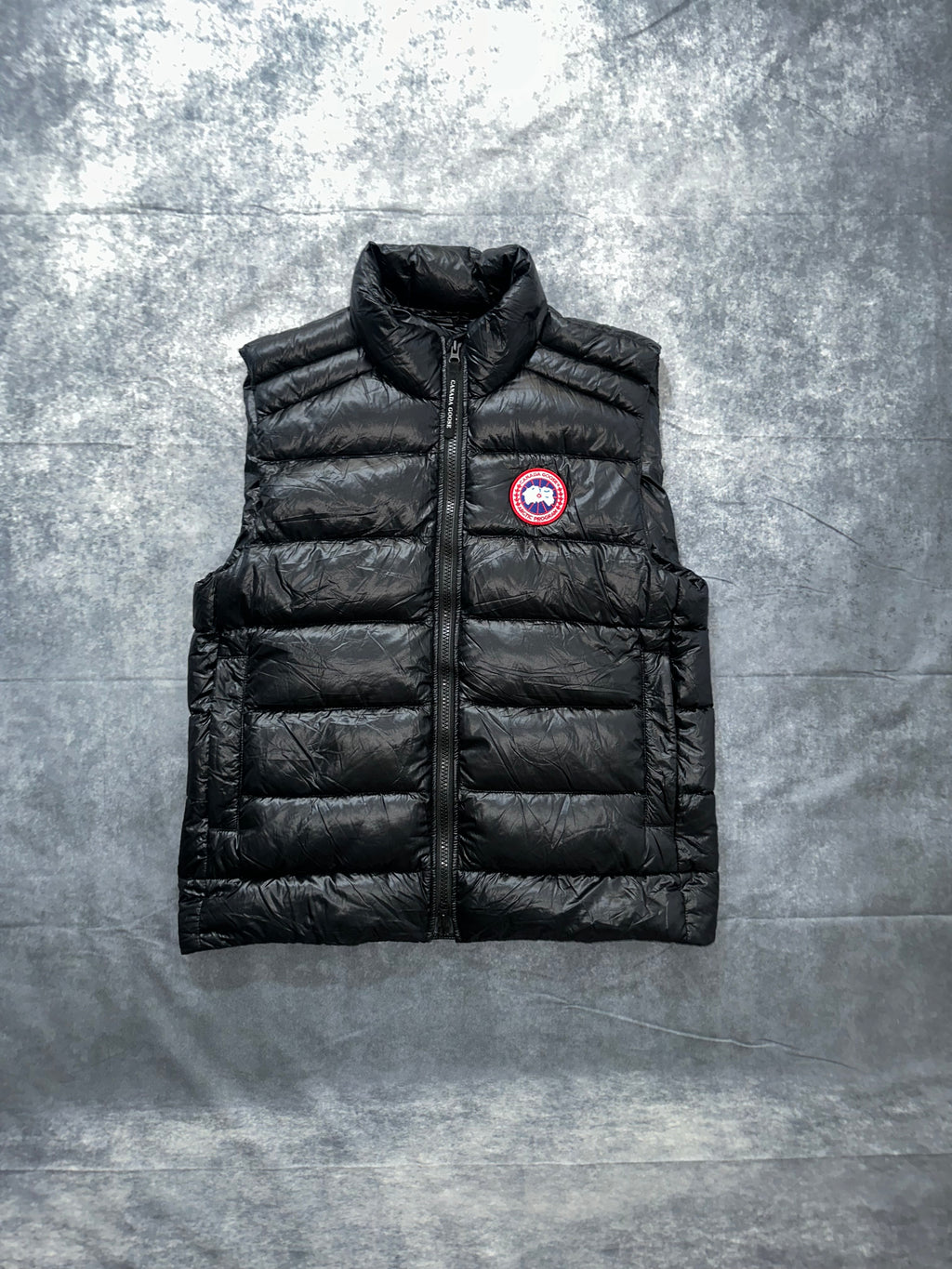 Canada Goose